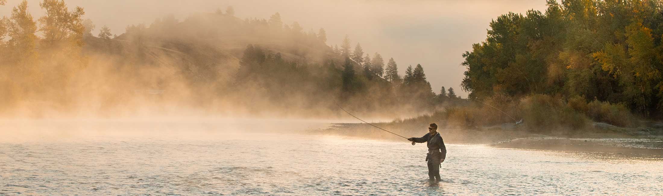 About Destination Stewardship Plan