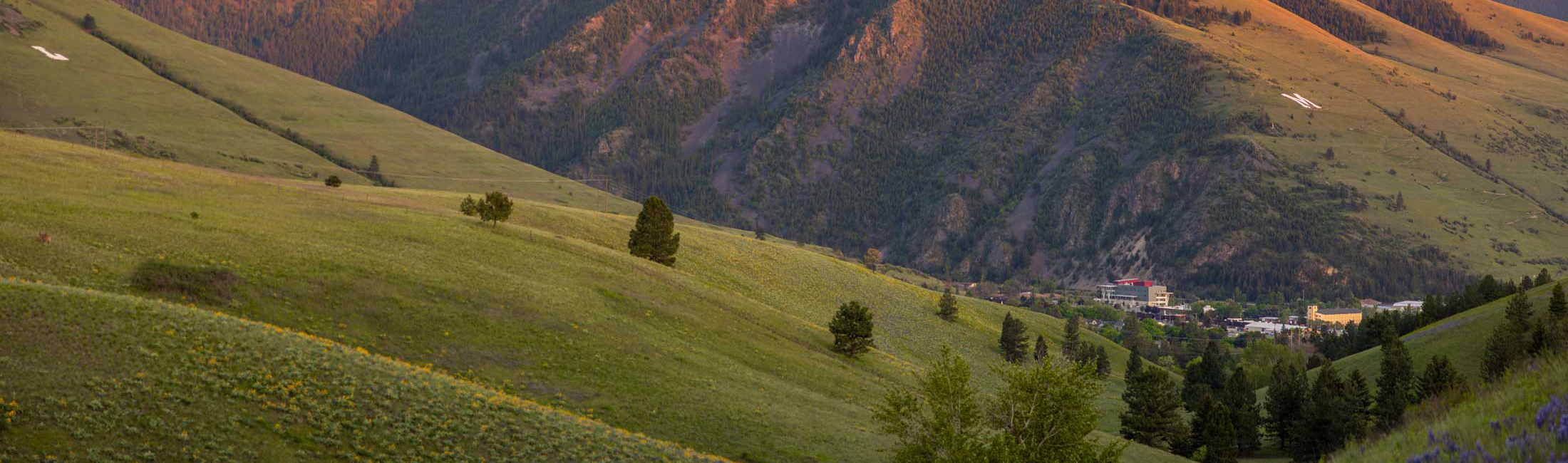 Interactive Hiking Guide