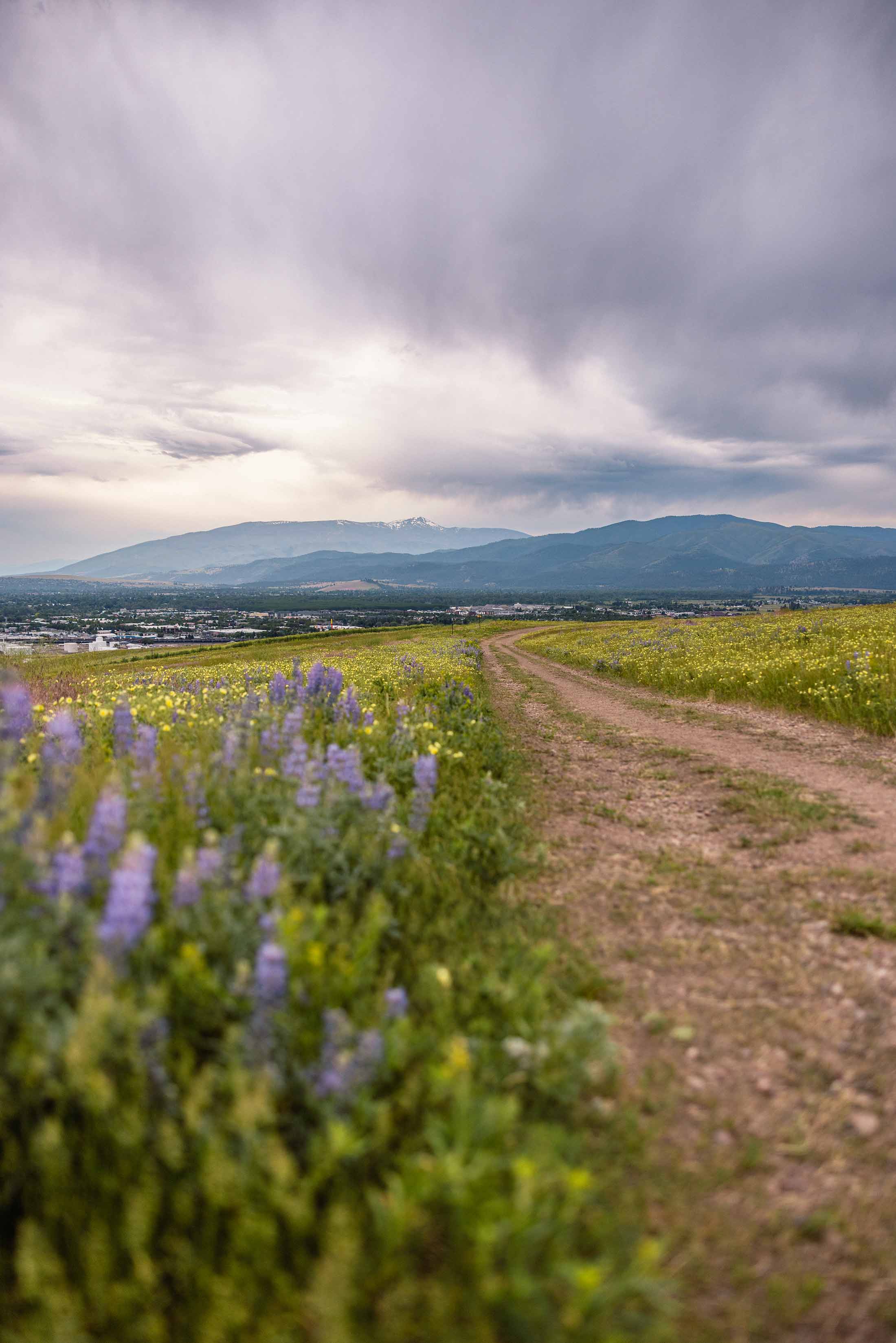 Grant Creek Trail + Bluebird Preserve