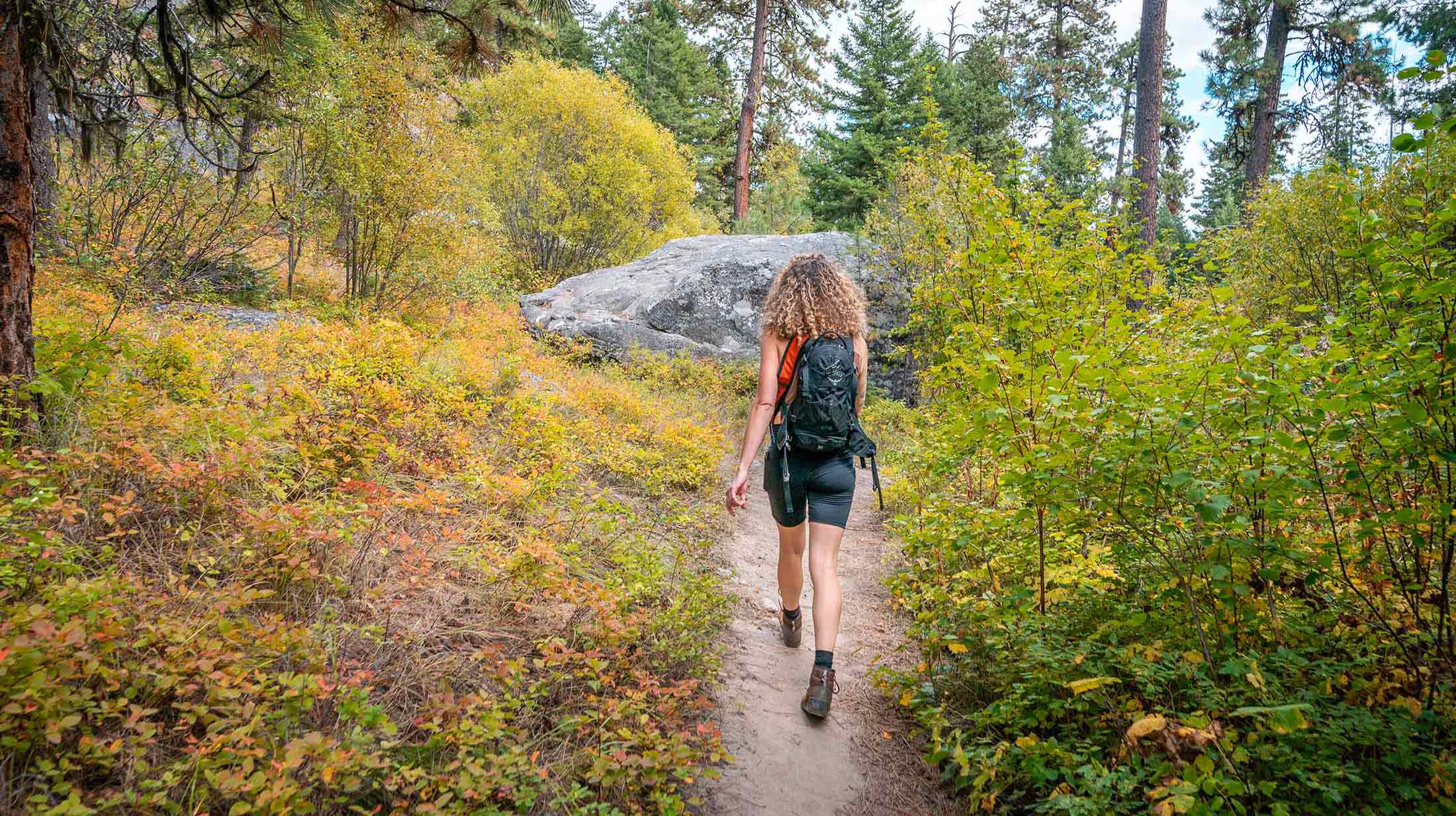 Pattee Canyon Recreation Area