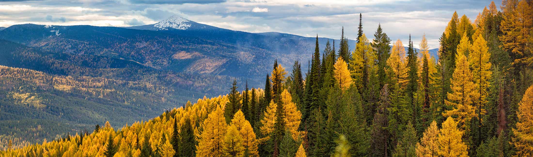 West of Missoula
